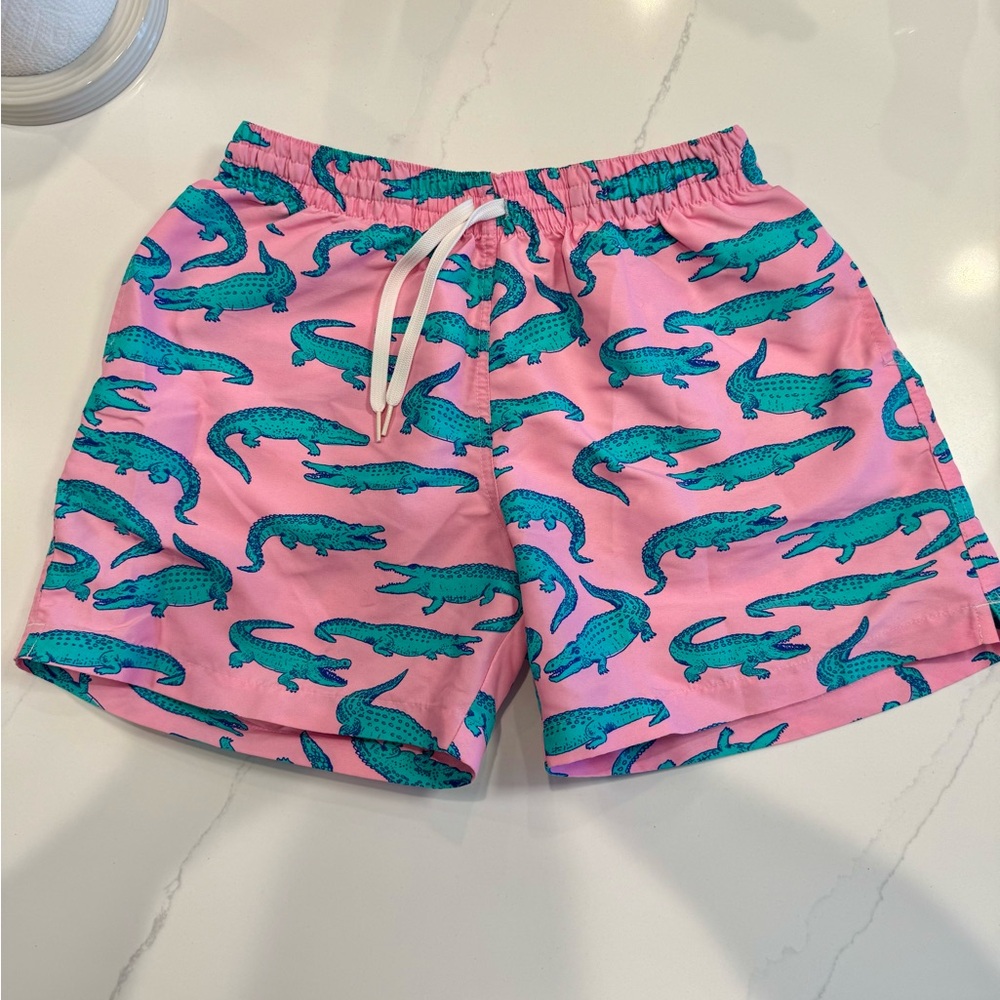 Chubbies Swim The Glades (Large - Mesh Lined)